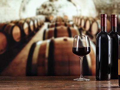 Private Day Trip to Eger with Wine Tasting and Lunch