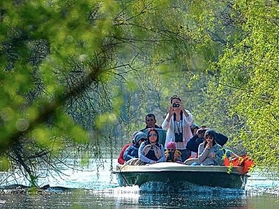 Danube Delta & Letea Forest Private Day Trip (UNESCO Heritage)