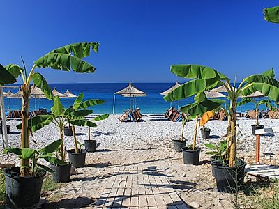 Beach, Beach, Beach