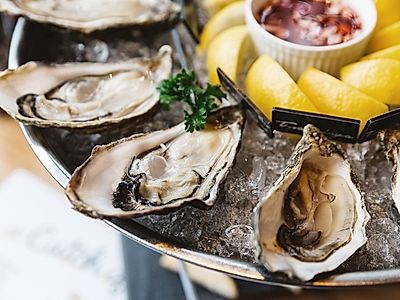 Peljesac Peninsula Visit with Wine and Oyster Tasting Private Day Tour