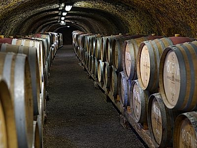 Eger Wine and Food Private Walking Tour