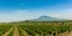 4 days in Etna