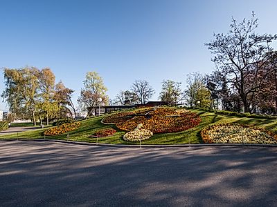 Beautiful Views of Geneva