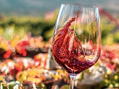 Hvar Wine Tasting Small Group Tour