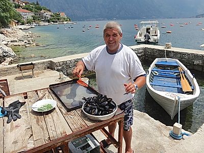 All About the Mussels Group Tour