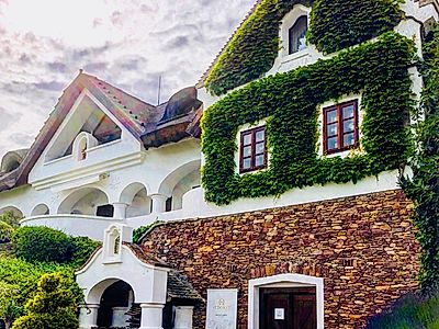 Embrace Local Vineyards