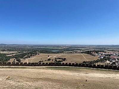 Alentejo Full Day Private Tour with Wine Tasting and Lunch at a Winery