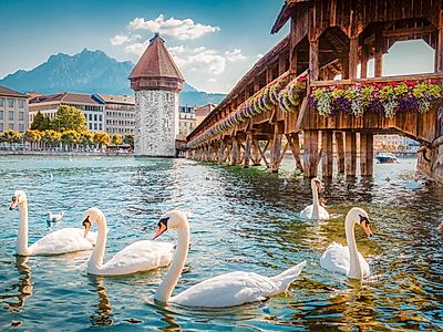Lucerne, Love, and Luxury