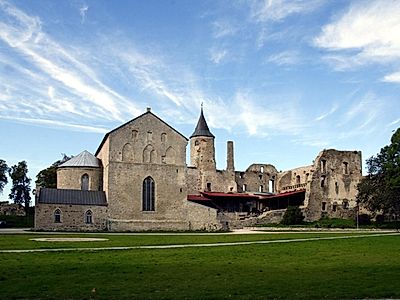 Tallinn by Private Transfer with a Stop in Haapsalu