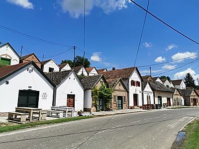 Eger by Private Transfer with a Stop in Villany