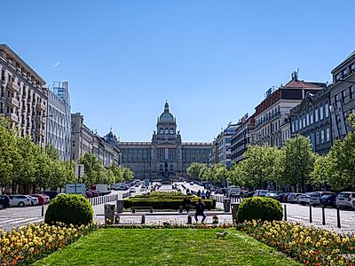 Museums of All Kinds, from Alchemy to Kafka