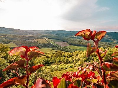Istrian Self-Drive Tour