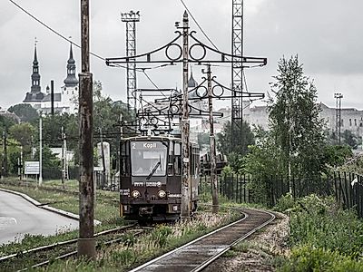Go Bohemian in Kalamaja